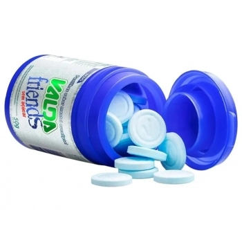 VALDA FRIENDS POTE S/ACUCAR 6X50G